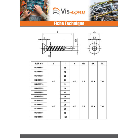 1 x Vis autoperceuse Tête fraisée 4.8X100 TORX T25 Inox AISI 410