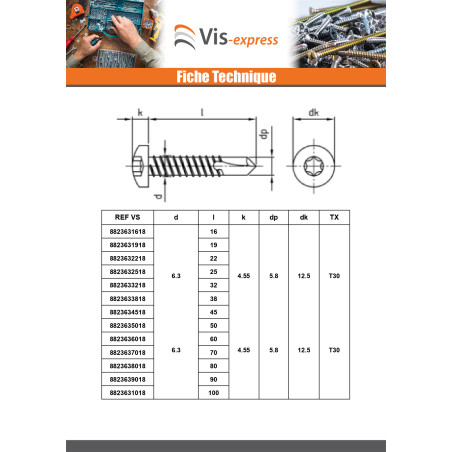 1 x Vis autoperceuse Tête cylindrique TC 5.5X40 TORX T25 Inox AISI 410