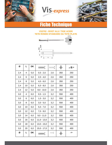 1 x Rivet aveugle Aluminium Tige acier 4.8X100...