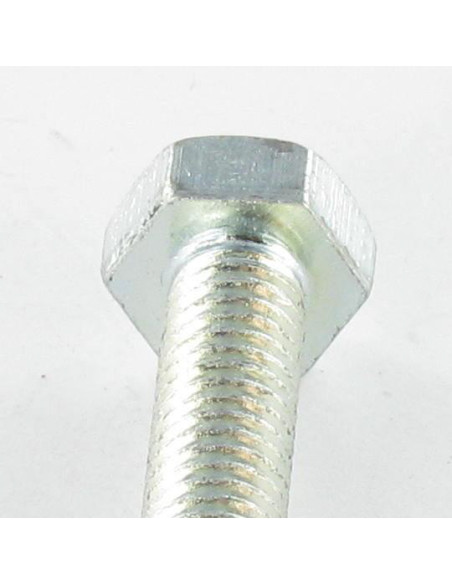 1 x Vis métaux Tête hexagonale TH + Clé de 4 HC4 M6X35 Acier zingué