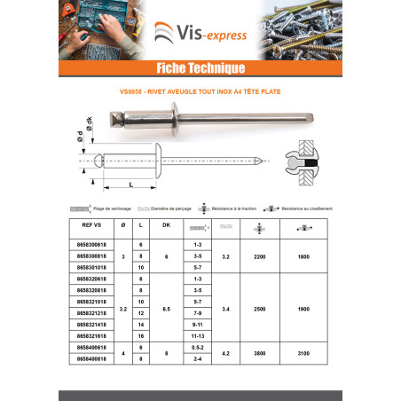 1 x Rivet Aveugle Tout Inox A4 Tête plate 3.2X8