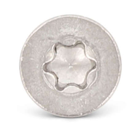 1 x Vis autoperceuse Tête fraisée 4.8X19 TORX T25 Inox AISI 410