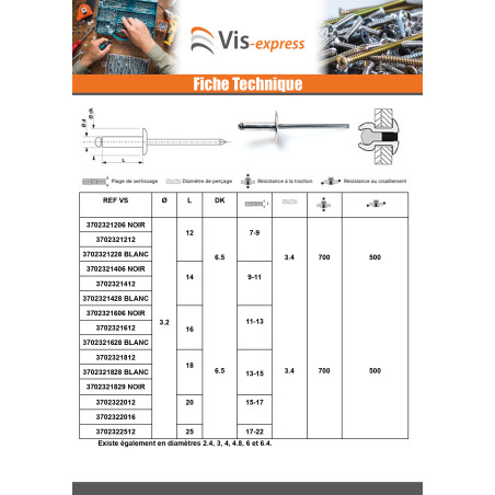 1 x Rivet aveugle Aluminium Tige acier 3.2X14 Epaisseur de serrage 9 à 11 Tête Ronde Standard Blanc