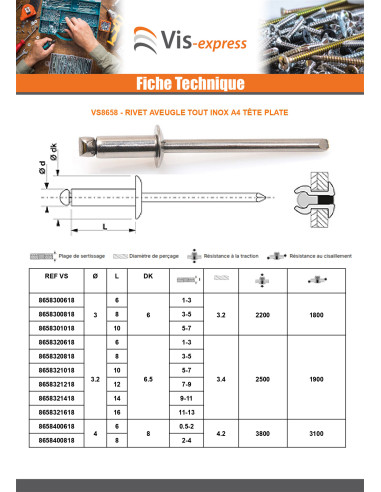1 x Rivet Aveugle Tout Inox A4 Tête plate 4.8X12