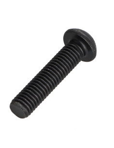 Vis métaux Tête bombée TORX T40 M8X30 Classe 10.9 Acier 2