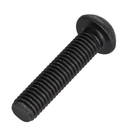 1 x Vis métaux Tête bombée TORX T40 M8X30 Classe 10.9 Acier
