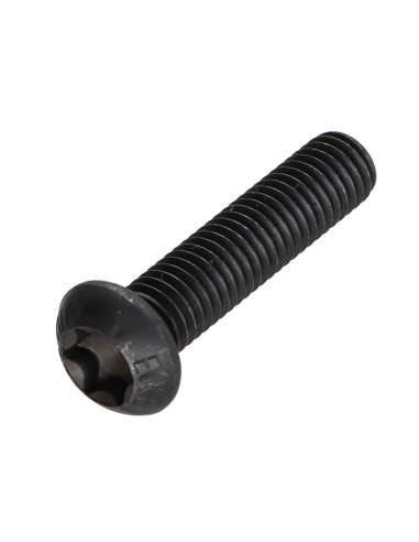 1 x Vis métaux Tête bombée TORX T25 M5X35...