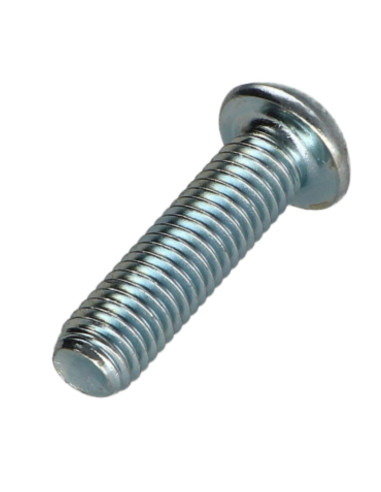 1 x Vis métaux Tête bombée TORX T25 M5X35...