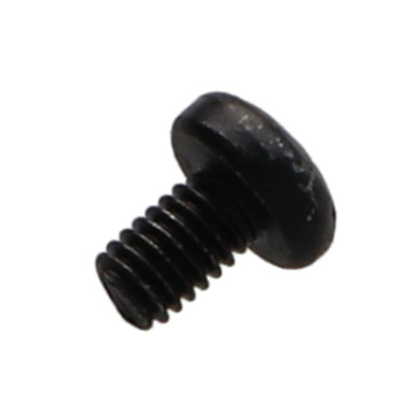 1 x Vis métaux Tête bombée TORX T20 M4X6 Classe 10.9 Acier