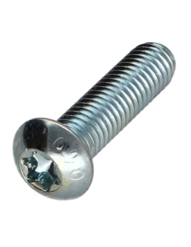1 x Vis métaux Tête bombée TORX T40 M8X30...