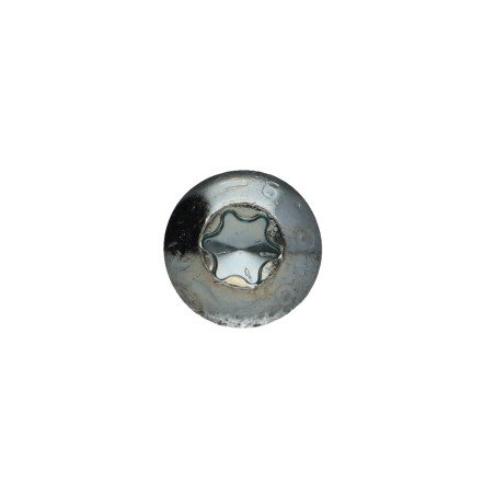 1 x Vis métaux Tête bombée TORX T40 M8X30 Classe 10.9 Acier zingué