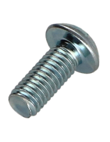 1 x Vis métaux Tête bombée TORX T30 M6X25...
