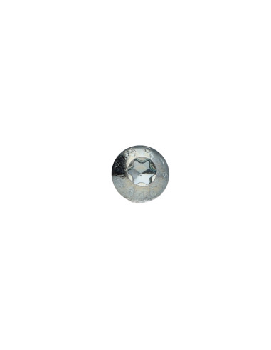 1 x Vis métaux Tête bombée TORX T20 M4X6 Classe...