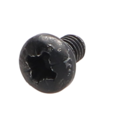 1 x Vis métaux Tête bombée TORX T25 M5X10 Classe 10.9 Acier
