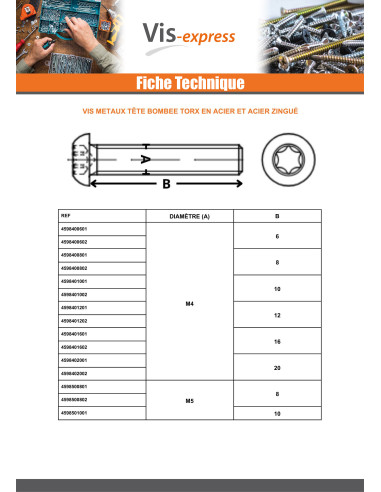 1 x Vis métaux Tête bombée TORX T40 M8X16...