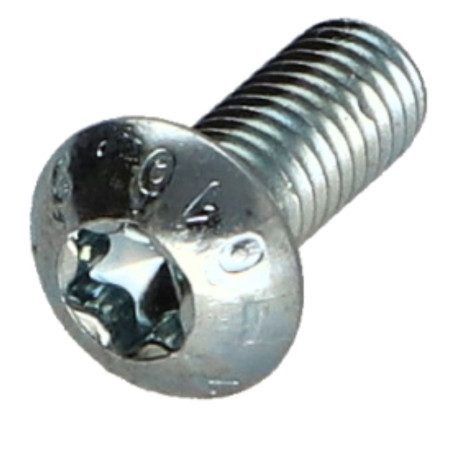 1 x Vis métaux Tête bombée TORX T25 M5X8 Classe 10.9 Acier zingué