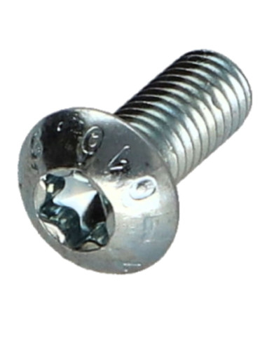 1 x Vis métaux Tête bombée TORX T20 M4X16...