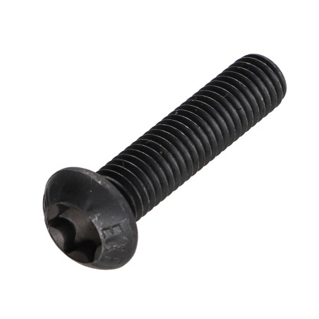 1 x Vis métaux Tête bombée TORX T25 M5X30 Classe 10.9 Acier