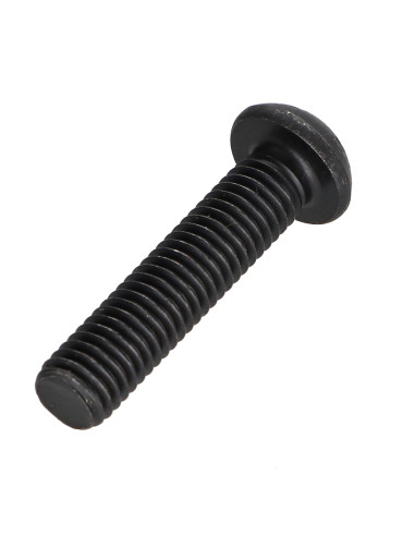 1 x Vis métaux Tête bombée TORX T25 M5X30...