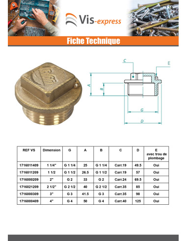 1 x Bouchon mâle Figure 290 26X34 (1") Laiton