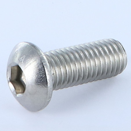 1 x Vis métaux BHC (Tête Bombée Hexagonal creux) M10X16 Filetage total Clé de 6 HC6 Inox A4
