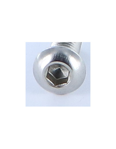 1 x Vis métaux BHC (Tête Bombée Hexagonal...