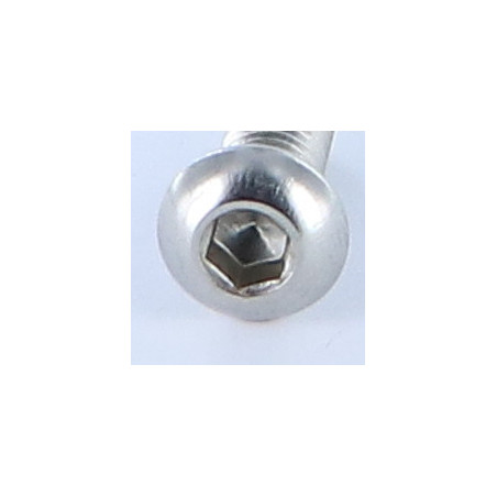 1 x Vis métaux BHC (Tête Bombée Hexagonal creux) M6X8 Filetage total Clé de 4 HC4 Inox A4