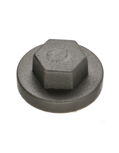 1 x Capuchon Tête hexagonale TH Polyéthylène...
