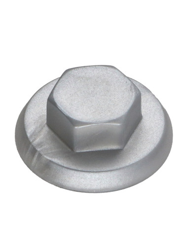 1 x Capuchon Tête hexagonale TH Polyéthylène...