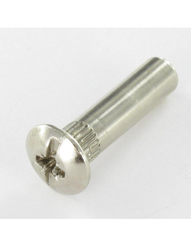 1 x Ecrou Relieur POZI et fendu 8X31 M6X15 AC....