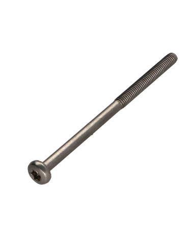 1 x Vis métaux Tête cylindrique bombée TCB TORX...