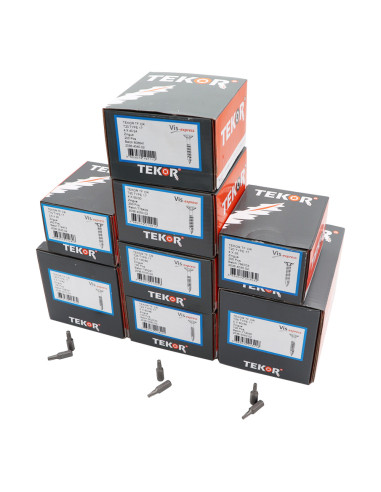 1 x TEKOR PACK PRO 1200 Vis Tête fraisée Cranté...