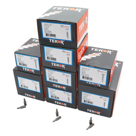 1 x TEKOR PACK PRO 1200 Vis Tête fraisée Cranté TORX Acier zingué