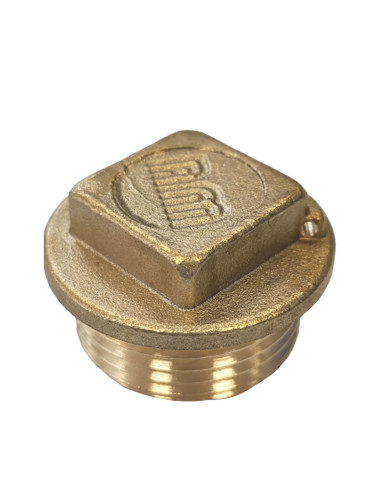 1 x Bouchon mâle Figure 290 26x34 (1") Tête...