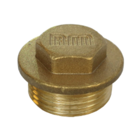 1 x Bouchon mâle Figure 290 8x13 (1/4") Laiton