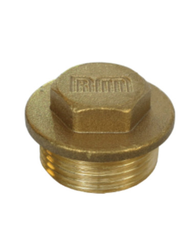 1 x Bouchon mâle Figure 290 20x27 (3/4") Laiton