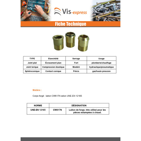 1 x Raccord union droit joint torique 26x34 (1") Mâle/Femelle Laiton Figure 341