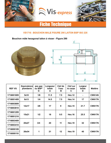 1 x Bouchon mâle Figure 290 15x21 (1/2") Laiton