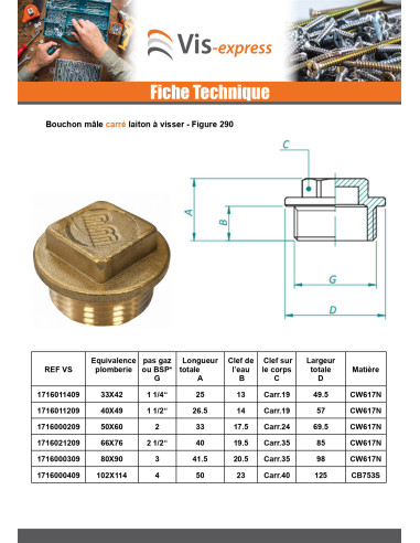 1 x Bouchon mâle Figure 290 15x21 (1/2") Laiton