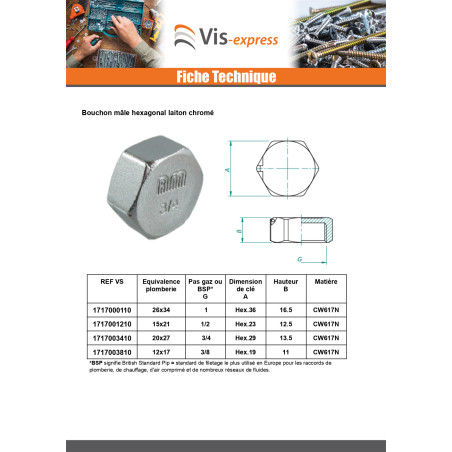 1 x Bouchon femelle Figure 300 20x27 (3/4") Laiton