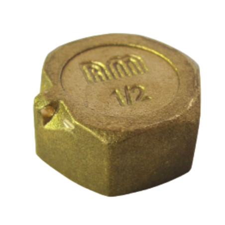 1 x Bouchon femelle Figure 300 26x34 (1") Laiton