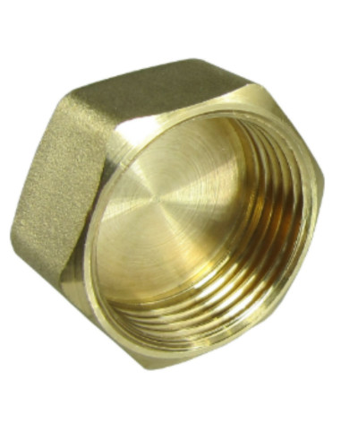 1 x Bouchon femelle Figure 300 26x34 (1") Laiton