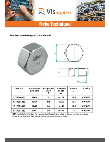 1 x Bouchon femelle Figure 300 26x34 (1") Laiton