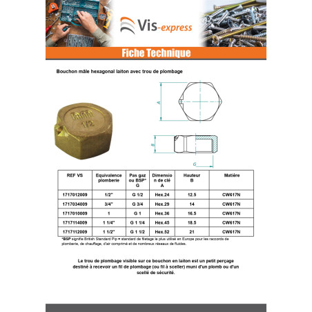 1 x Bouchon femelle Figure 300 26x34 (1") Laiton