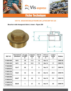 Bouchon mâle Figure 290 66x76 (2"1/2) Tête carrée Laiton 2