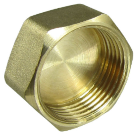 1 x Bouchon femelle Figure 300 50x60 (2") Laiton