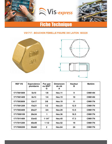 1 x Bouchon femelle Figure 300 50x60 (2") Laiton
