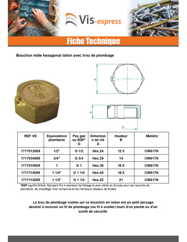 1 x Bouchon femelle Figure 300 50x60 (2") Laiton