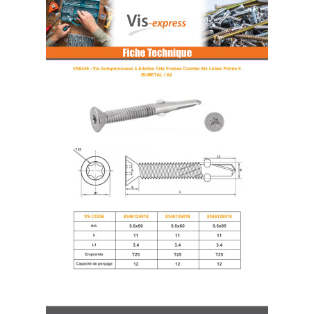 1 x Vis autoperceuse Bimétal Tête fraisée TORX T25 Foret Long 5.5X50