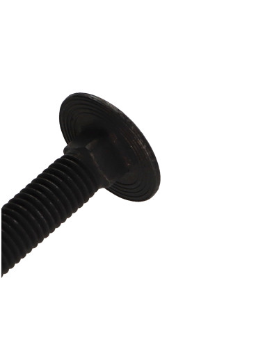 1 x TRCC JAPY tête ronde collet carré Inox A2...
